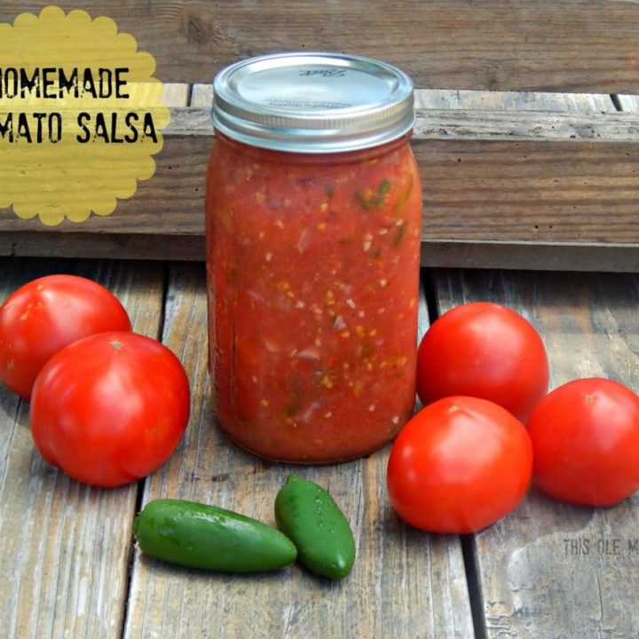 Homemade Tomato Salsa