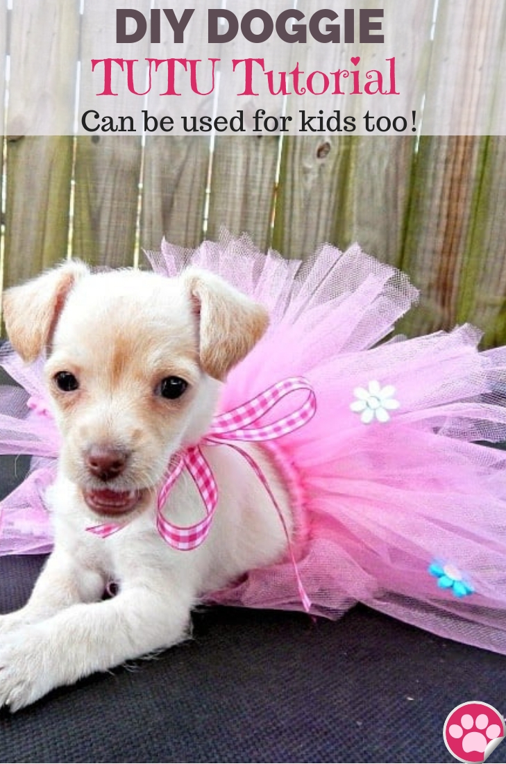 DIY DOGGIE TUTU Tutorial 