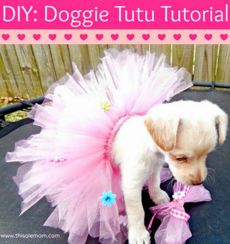 Diy Doggie Tutu Tutorial