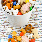 Easy to Make Zoo Trail Mix