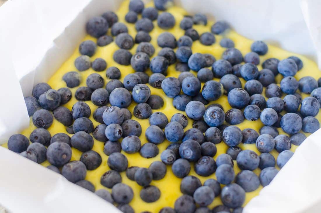 Blueberry Lemon Bars