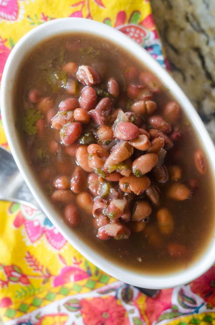 Instant Pot Two Bean Soup