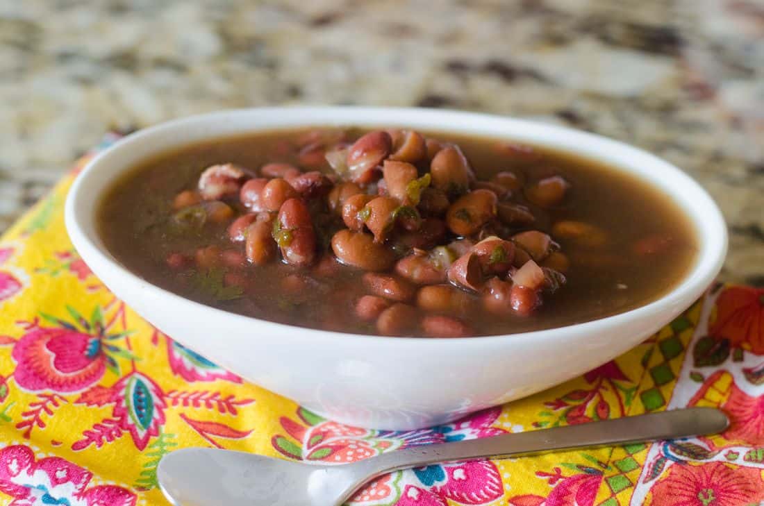 Instant Pot Two Bean Soup