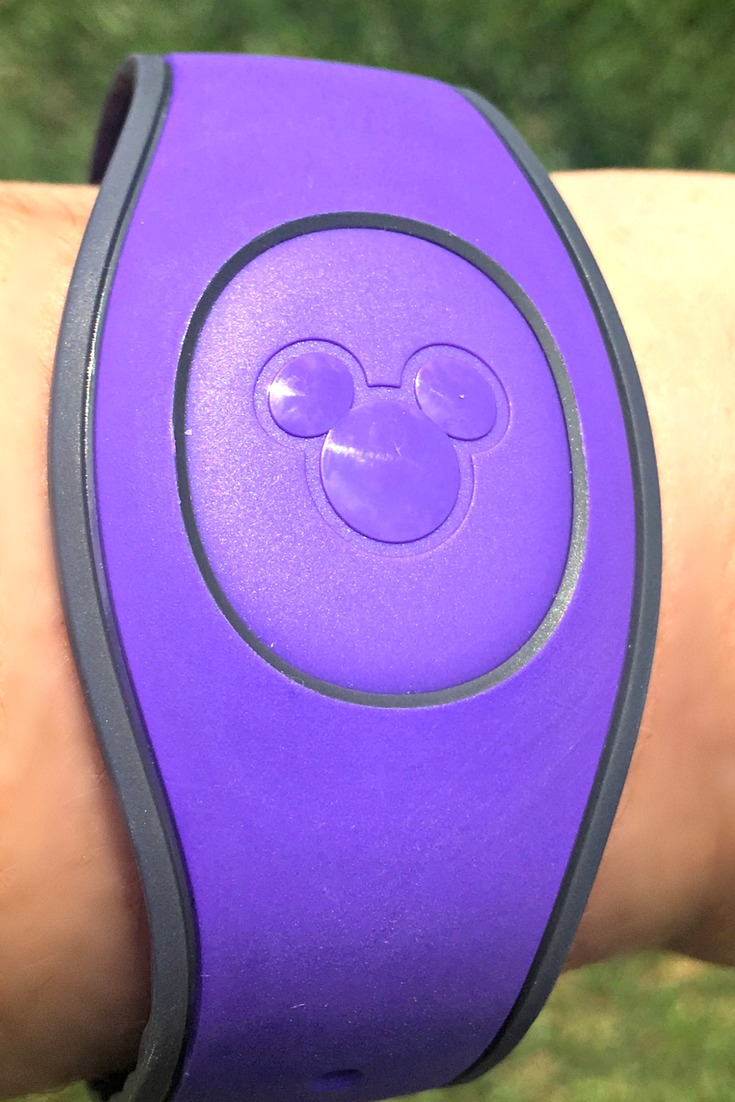 Disney Magic Bands