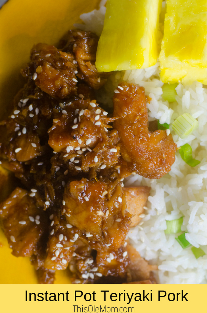 Instant Pot Teriyaki Pork Recipe