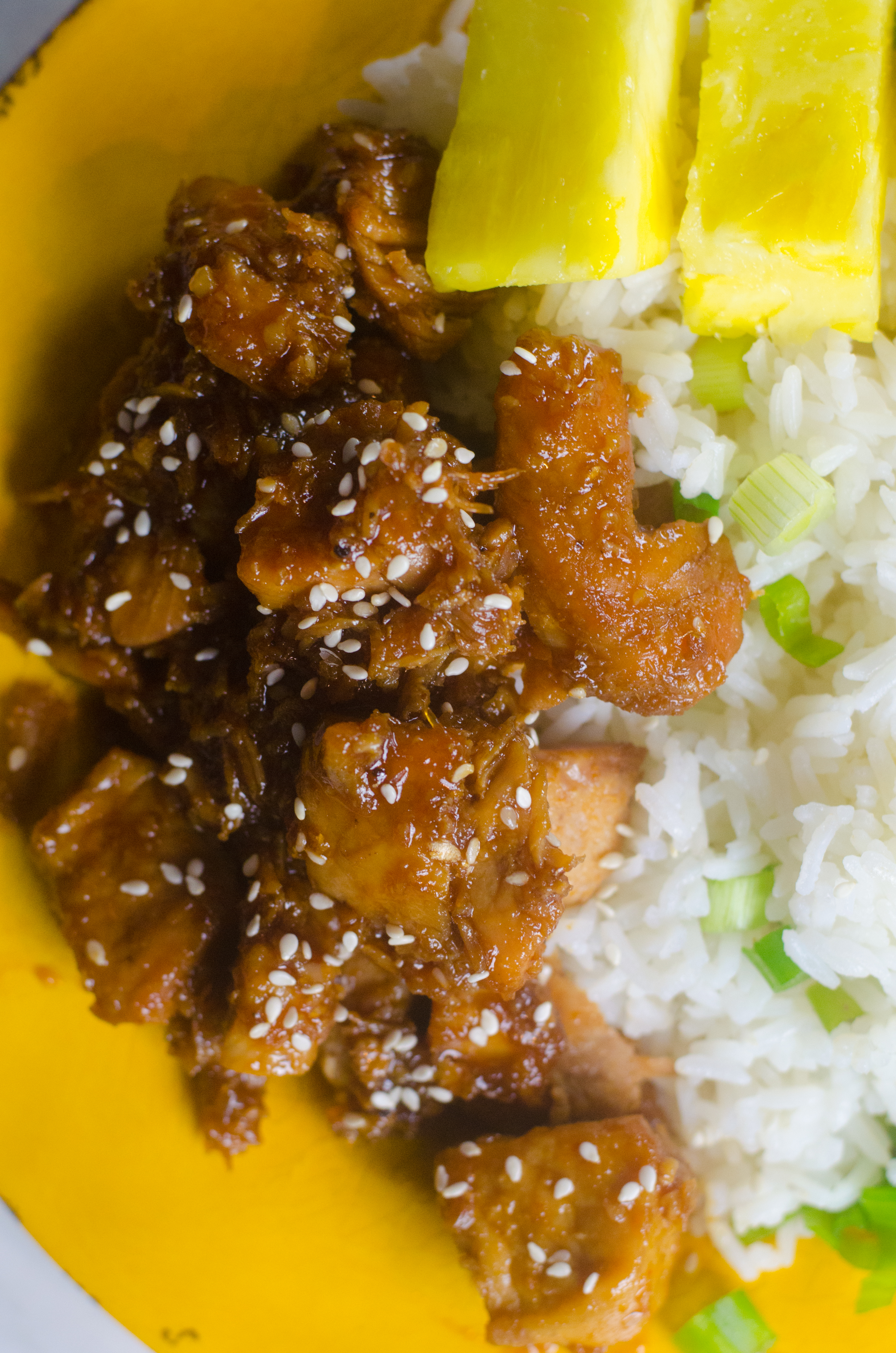 Instant Pot Teriyaki Pork Recipe