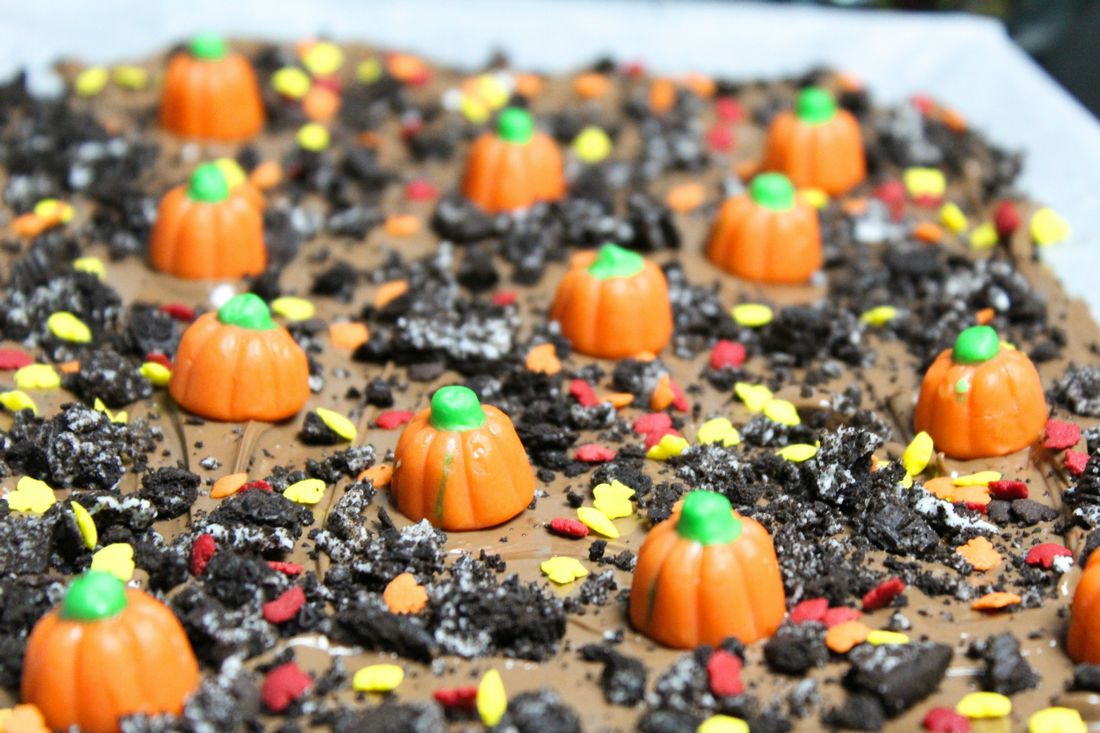 Pumpkin Patch Oreo Bark