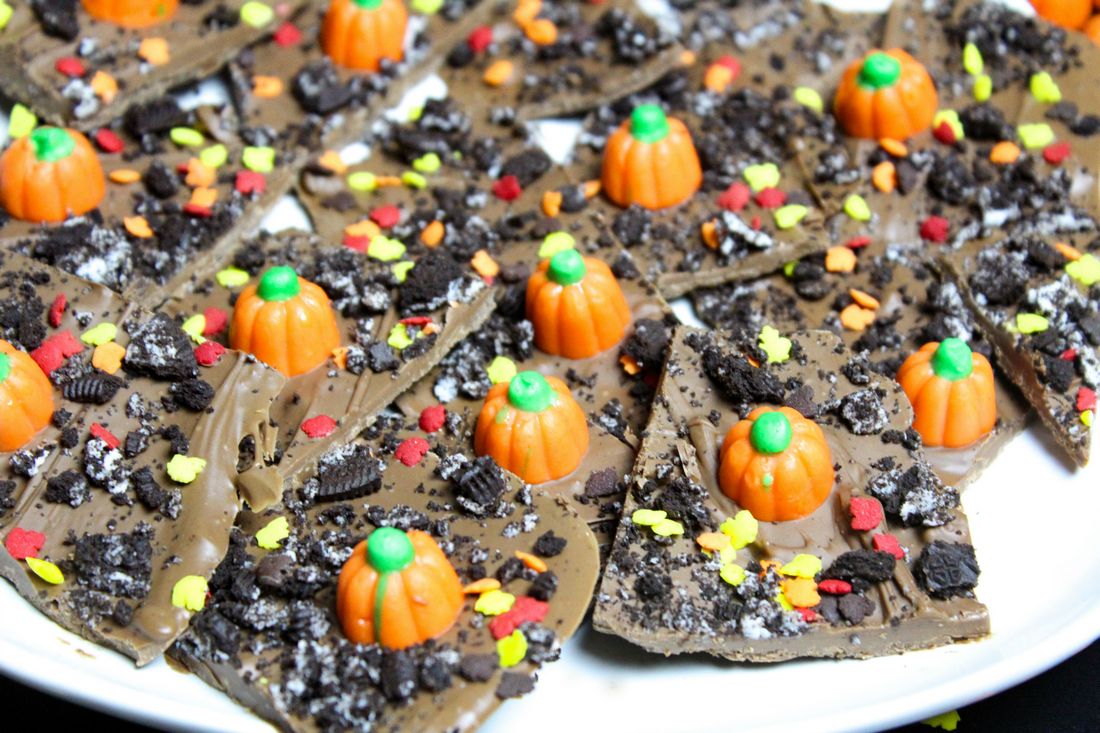 Pumpkin Dirt Patch Bark