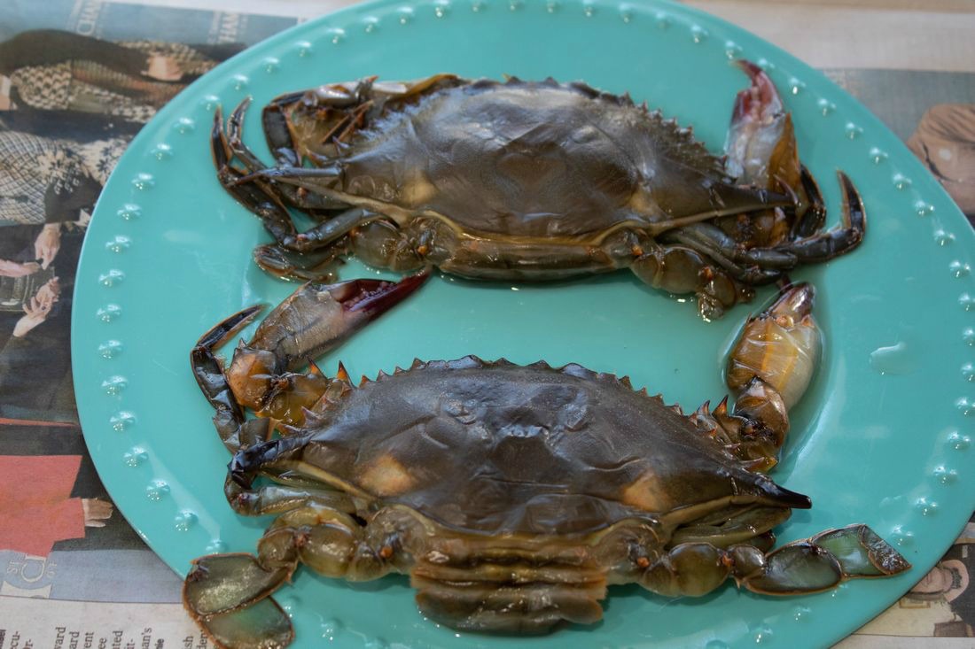 How to Clean Soft Shell Crabs This Ole Mom