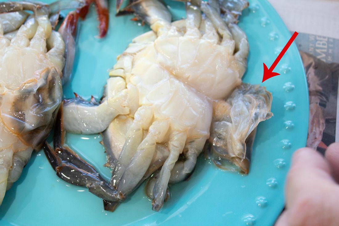 How to Clean Soft Shell Crabs This Ole Mom