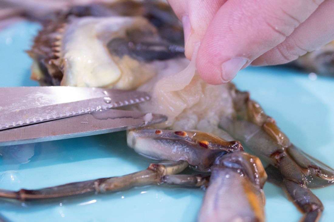 How to Clean Soft Shell Crabs This Ole Mom
