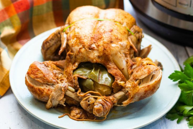 https://www.thisolemom.com/wp-content/uploads/2019/04/Instant-Pot-Cajun-Whole-Chicken-photo-5-735x490.jpg