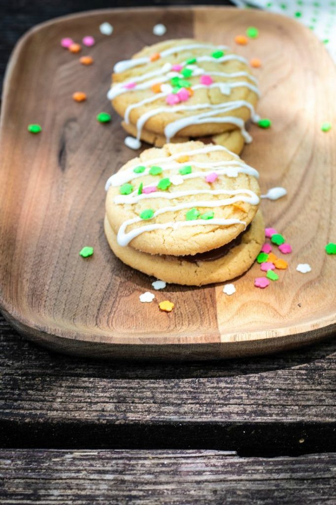 Campfire Sugar Cookies S'mores