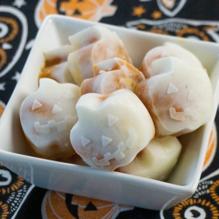 Pumpkin Yogurt Bites