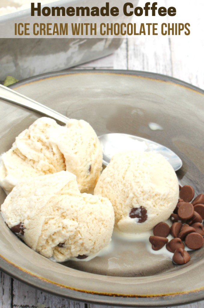 Homemade Coffee Ice Cream with Chocolate Chips
