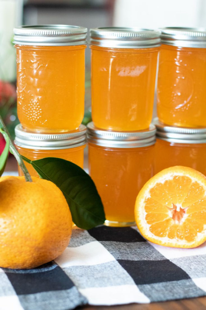 Delicious jars of Satsuma Jelly