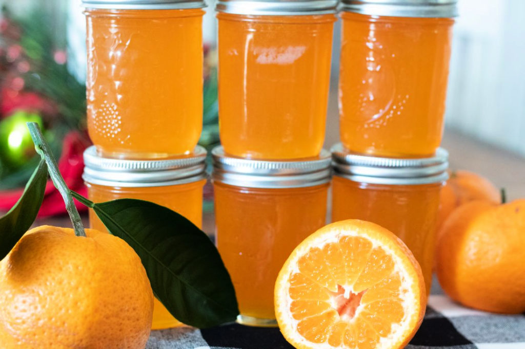 Satsuma Jelly in half pint jars.