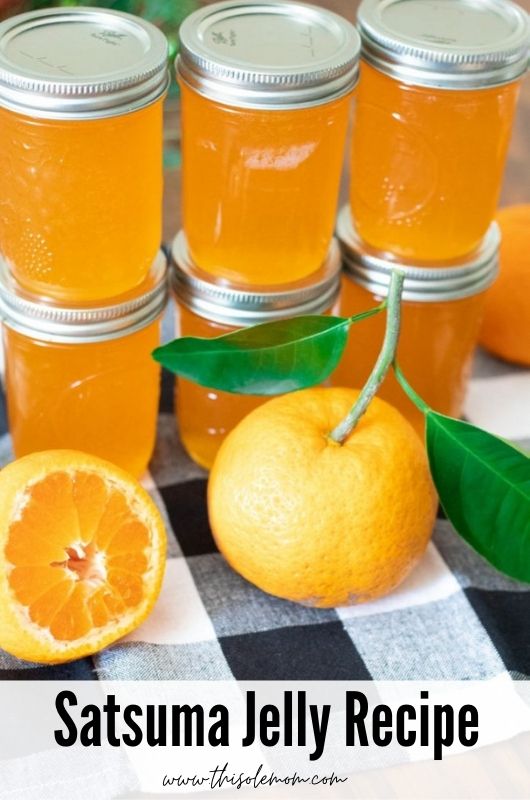 Homemade Satsuma Jelly