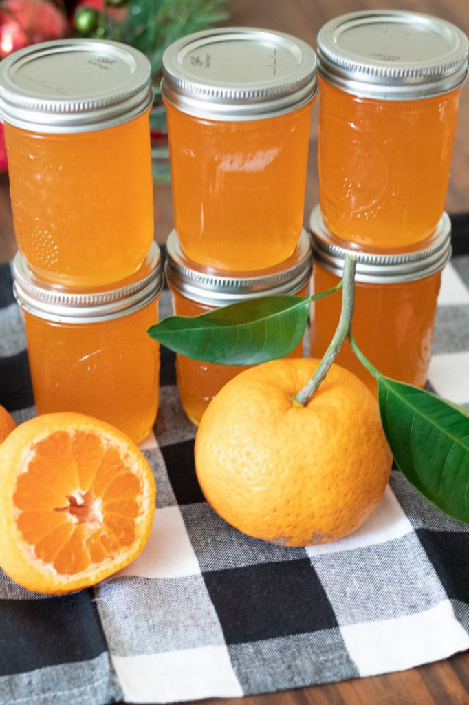 Satsuma Jelly Recipe in jars