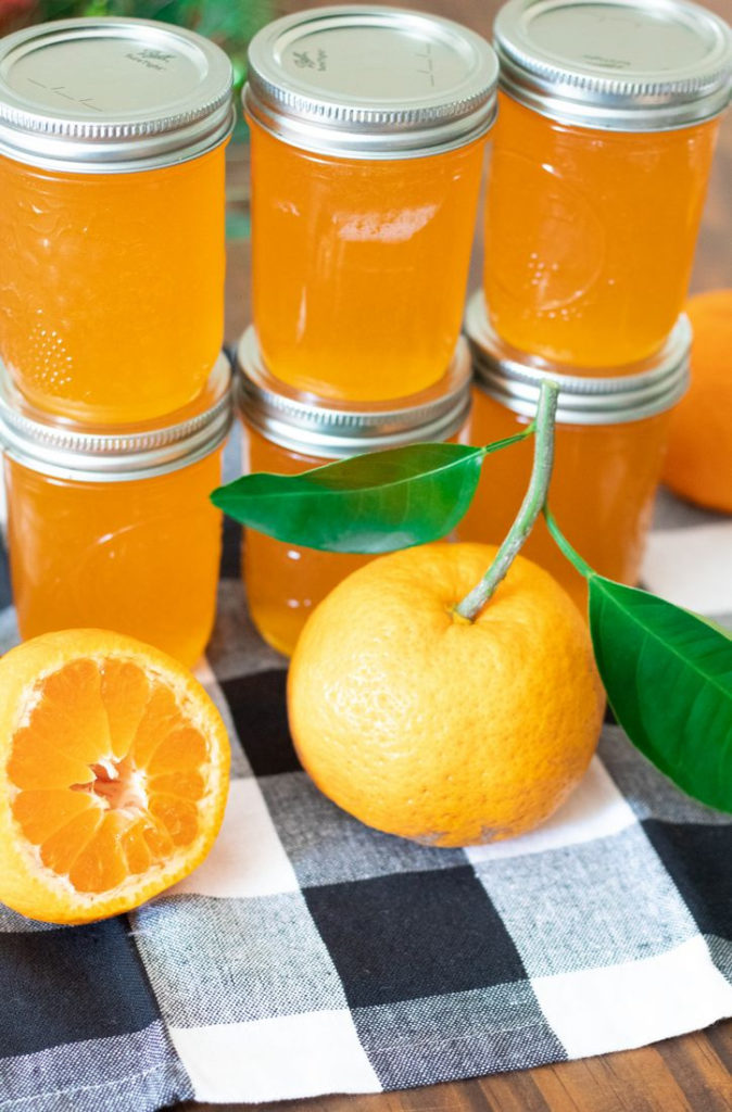 Jars of Satsuma Jelly 