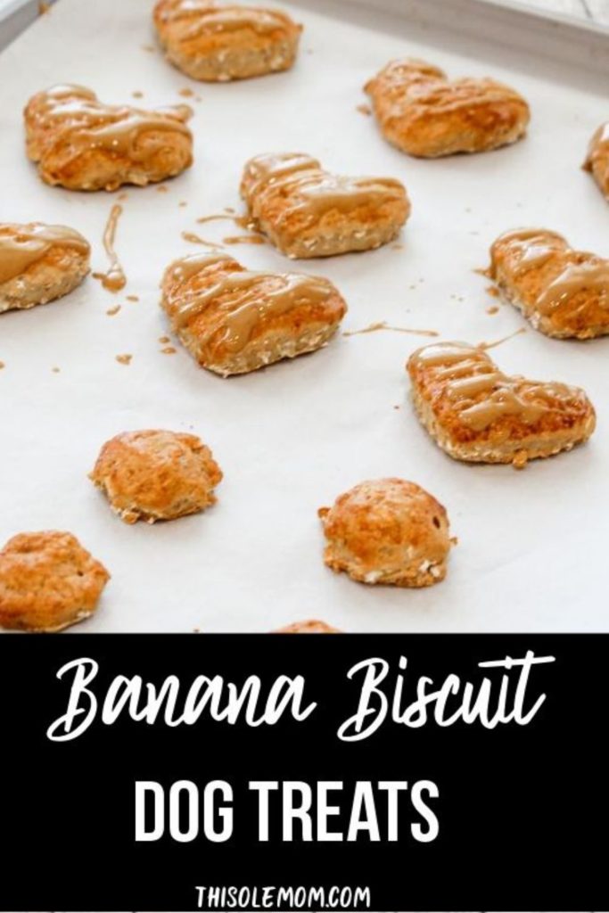 Banana Biscuit Dog Treats 