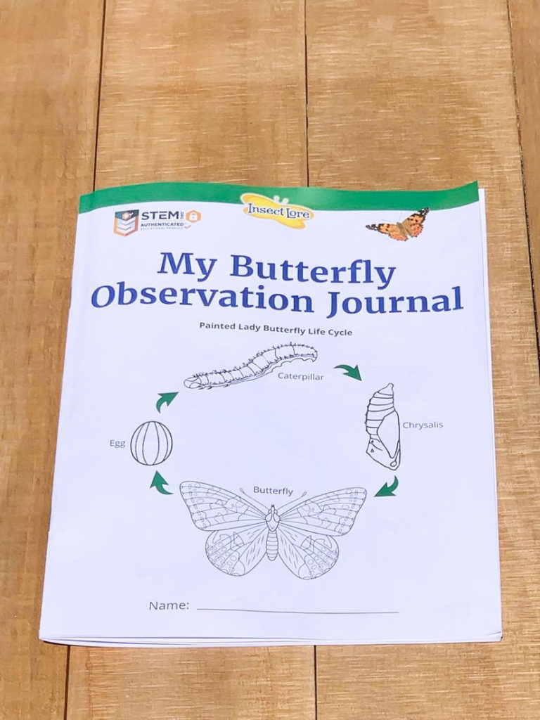 Butterfly Observation Journal that come with the butterfly kit.